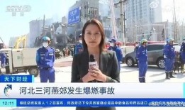 廊坊记者爆料事件视频最新,真相揭露，舆论漩涡中的最新进展